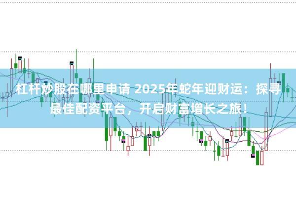 杠杆炒股在哪里申请 2025年蛇年迎财运：探寻最佳配资平台，开启财富增长之旅！