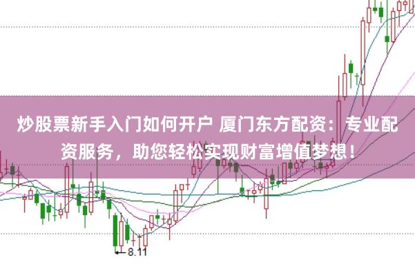 炒股票新手入门如何开户 厦门东方配资：专业配资服务，助您轻松实现财富增值梦想！