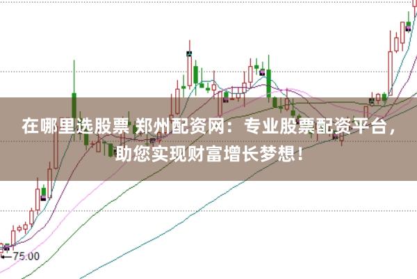 在哪里选股票 郑州配资网：专业股票配资平台，助您实现财富增长梦想！