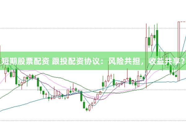 短期股票配资 跟投配资协议：风险共担，收益共享？