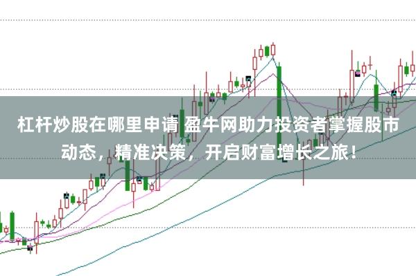 杠杆炒股在哪里申请 盈牛网助力投资者掌握股市动态，精准决策，开启财富增长之旅！