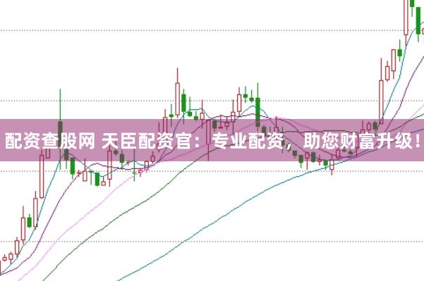 配资查股网 天臣配资官：专业配资，助您财富升级！