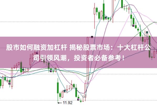 股市如何融资加杠杆 揭秘股票市场：十大杠杆公司引领风潮，投资者必备参考！