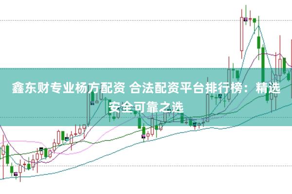 鑫东财专业杨方配资 合法配资平台排行榜：精选安全可靠之选