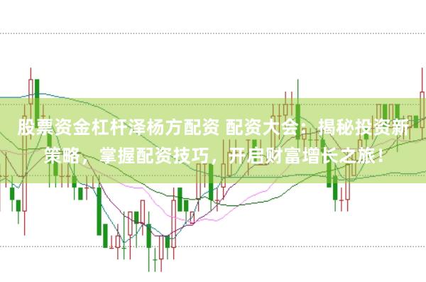 股票资金杠杆泽杨方配资 配资大会：揭秘投资新策略，掌握配资技巧，开启财富增长之旅！