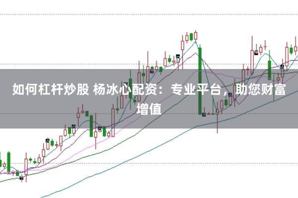 如何杠杆炒股 杨冰心配资：专业平台，助您财富增值