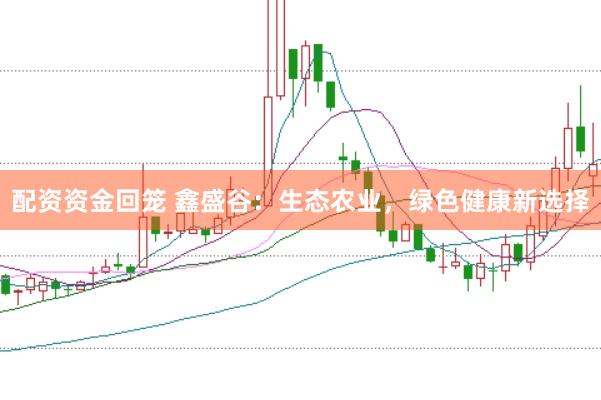 配资资金回笼 鑫盛谷：生态农业，绿色健康新选择