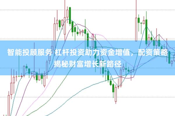 智能投顾服务 杠杆投资助力资金增值，配资策略揭秘财富增长新路径