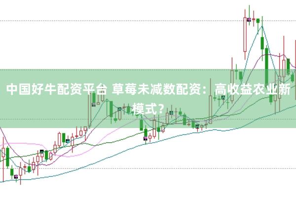 中国好牛配资平台 草莓未减数配资：高收益农业新模式？