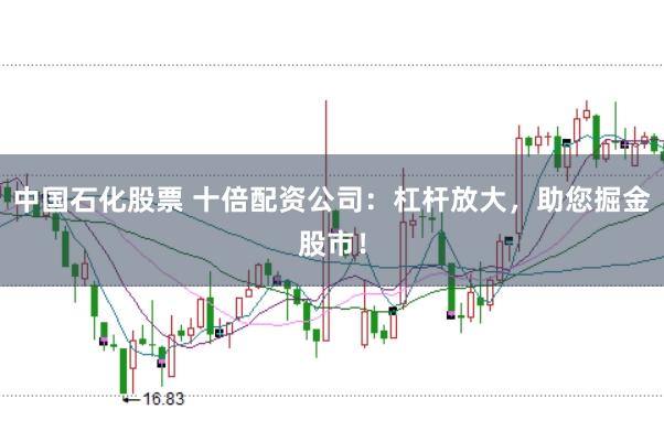中国石化股票 十倍配资公司：杠杆放大，助您掘金股市！