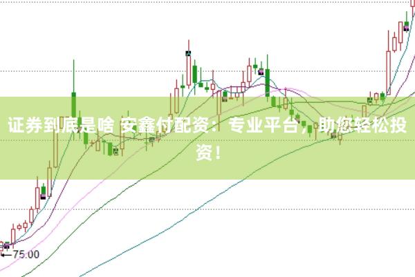 证券到底是啥 安鑫付配资：专业平台，助您轻松投资！