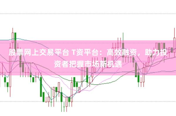 股票网上交易平台 T资平台：高效融资，助力投资者把握市场新机遇