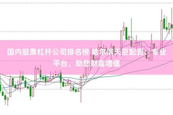 国内股票杠杆公司排名榜 哈尔滨天臣配资：专业平台，助您财富增值