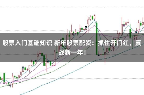 股票入门基础知识 新年股票配资：抓住开门红，赢战新一年！