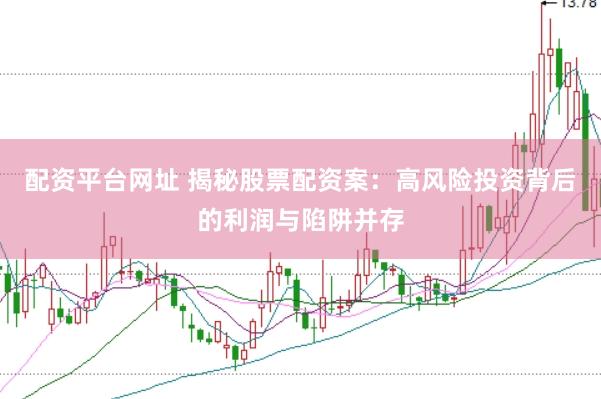 配资平台网址 揭秘股票配资案：高风险投资背后的利润与陷阱并存