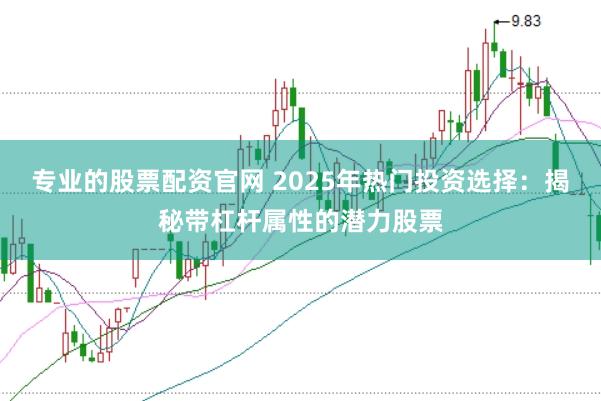 专业的股票配资官网 2025年热门投资选择：揭秘带杠杆属性的潜力股票