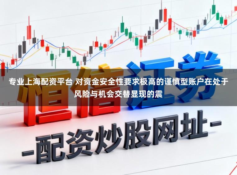 专业上海配资平台 对资金安全性要求极高的谨慎型账户在处于风险与机会交替显现的震